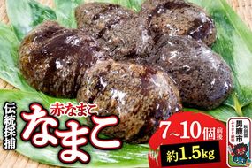 【期間限定】赤ナマコ 約1.5kg （7～10個前後） なまこ 海風丸 秋田県 男鹿市 [なまこ ナマコ 海鼠 珍味 海産]|23_umk-080101