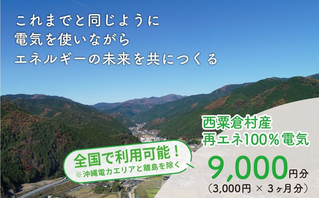 電気料金 (3,000円×3ヶ月分) 百森でんき CO2フリー 地域電力 お礼の電気 脱炭素 ゼロカーボン 岡山県 西粟倉村 [まずは寄付のお申し込みを!] e-vv-A01D