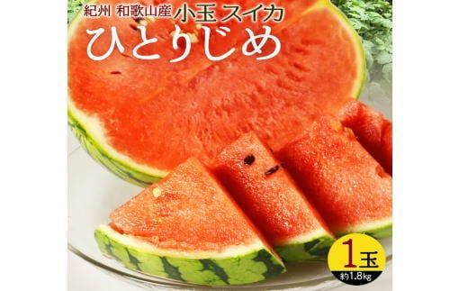 紀州和歌山産 小玉スイカ「ひとりじめ」1玉[予約] ※2027年5月下旬頃〜6月下旬頃に順次発送予定(お届け日指定不可) [uot778B]