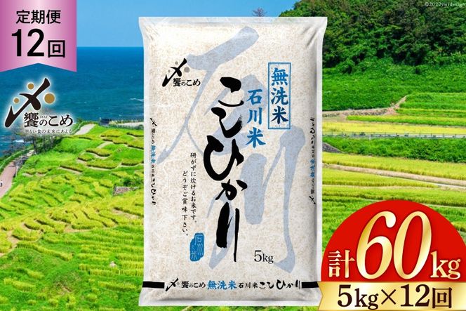 【12回 無洗米 定期便 】〈2026年3月より初回出荷〉石川県産 こしひかり 5kg×12回 総計60kg [中橋商事 石川県 宝達志水町 38601338] 米 お米 白米 精米 ご飯 ごはん コシヒカリ