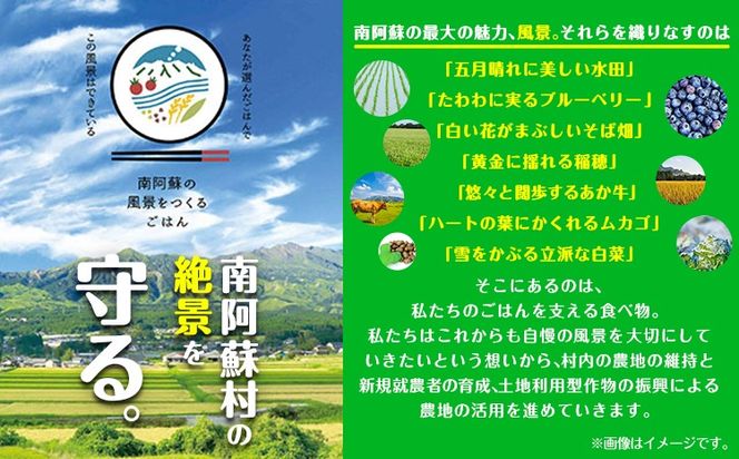 ぴかまる パックご飯 選べる 5個 10個 20個 パックごはん 米 パックライス 南阿蘇村産 一般社団法人南阿蘇村農業みらい公社《30日以内に出荷予定(土日祝を除く)》熊本県 南阿蘇村 送料無料 お米 米 ご飯 玄米 パック---sms_pikamaru_30d_24_9500_5p---