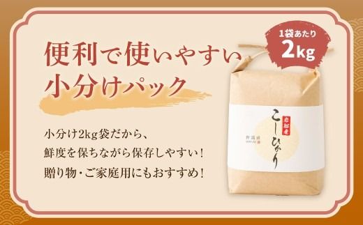 【新米受付・令和8年産米】【定期便：3ヶ月お届け】新潟県村上市　岩船産コシヒカリ6kg（2kg×３袋）×3ヶ月　合計18kg　1103002N