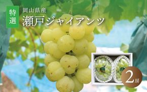 真庭市産 瀬戸ジャイアンツ 大房特選２房 / (2026年9月中旬以降発送予定) ぶどう 岡山 真庭 葡萄 果物 フルーツ ブドウ 人気 数量限定 皮ごと 種なし 産地直送 甘い 新鮮 桃太郎ぶどう 大粒 新食感 人気上昇中 ギフト 贈答用 【配送不可地域：北海道／沖縄県／離島】 【jujy011-02】