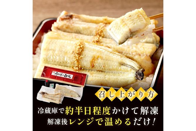 うなぎの白焼き2~3人前（1尾） ふるさと納税 ウナギ 鰻 白焼 しらやき タレ 国産 うなぎ 鰻 惣菜 京都 ギフト 贈り物 お祝い　AN00094