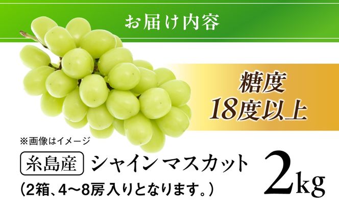 【先行受付】【糖度18度以上】 糸島産 シャインマスカット 2kg 【2026年8月中旬より順次発送】糸島市 / 和饗エコファーム フルーツ 果物[AVI007] シャインマスカット マスカット ぶどう ブドウ フルーツ 果物 甘い 高糖度