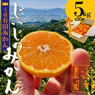 和歌山県有田みかん じぃじのみかん 約5kg EC004