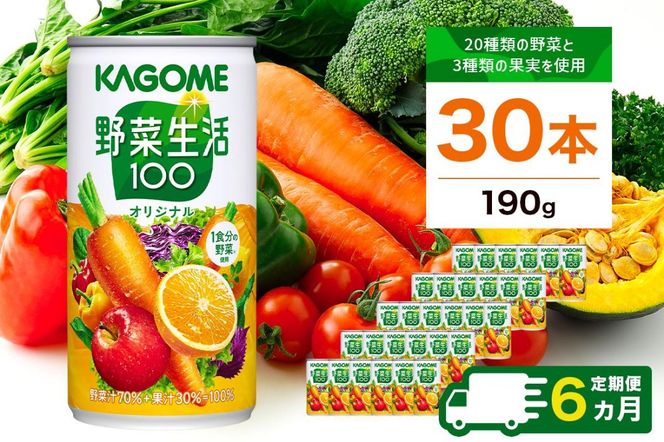 yȖ،ߐ{szns001-015@y6zJS@ؐ100@IWi@190g×30{ 1P[X ͂ 6 6R[Xy Ȗ، ߐ{s z