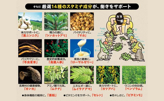 DHC醗酵黒セサミン+スタミナ30日分 6個(180日分)セット