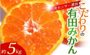 【2026年12月分】こだわりの有田みかん 約5kg＋150g（痛み補償分）【12月発送】 【家庭用】光センサー選別品 農家直送品 ※北海道・沖縄・離島配送不可 / みかん 有田みかん 温州みかん 柑橘 果物 くだもの フルーツ 有田 和歌山 和歌山県産 産地直送【nuk160-12D】