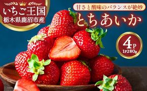 鹿沼市産 とちあいか（280g×4パック） | いちご イチゴ 苺 栃木県 果物 くだもの フルーツ とちあいか 新鮮 贈答 ギフト ※離島への配送不可 ※2026年1月上旬～3月下旬頃に順次発送予定