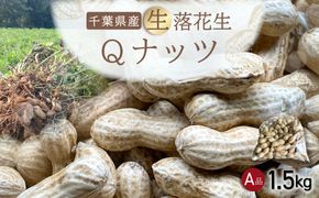 【先行受付・11月上旬より順次発送！】Qナッツ 生落花生 1.5kg SMAH014