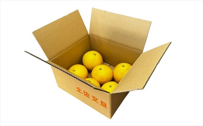 土佐文旦　家庭用3kg（池上果樹園）