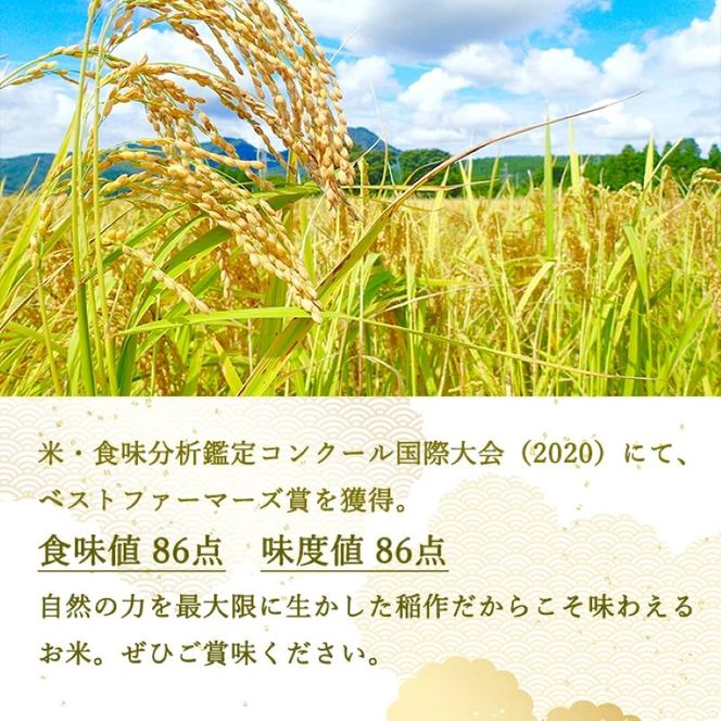 定期便 6ヶ月 ベストファーマーズ賞受賞 いのちの壱 白米 5kg 無農薬 令和8年産 米 お米 チャック付 チャック 小分け  産地直送 長野 定期 6回