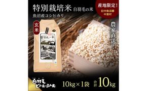 【通年受付】≪令和8年産≫ 農家直送！魚沼産コシヒカリ特別栽培「白羽毛の米」玄米(10kg×1袋) 10kg お米 ご飯 安心
