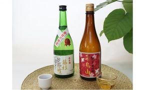 酒 藤枝小町・飛鳥山 みりんセット 飲み比べ 純米酒 純米 アルコール 冷酒 熱燗 おすすめ 調味料 純米本みりん 食前酒 スイーツ ブランデー 代用 化粧箱 贈答用 ギフト 静岡県 藤枝市