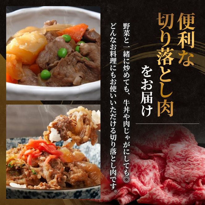 神戸牛 訳あり 切り落とし 400g 小分け 切り落とし 不揃い 規格外 牛肉 肉