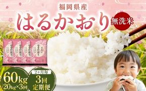 【 2ヶ月毎3回定期便 】 【 無洗米 】 はるかおり 20kg （ 5kg × 4袋 ） 計60kg お米 米 こめ コメ 白米 白飯 飯 ご飯 おにぎり 和食 国産 福岡県産 定期 定期配送