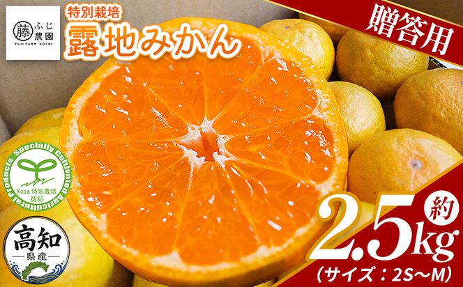 みかん 【特別栽培みかん】【2026年10月以降順次配送分】ふじ農園の露地みかん 贈答用 2.5kg (2S～M) - みかん 温州みかん 国産 蜜柑 ミカン 柑橘 果物 フルーツ 贈答 プレゼント ギフト 贈り物 fn-0009