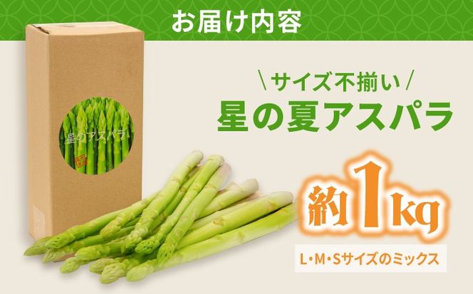 【2026年5月下旬～発送】【数量限定】【訳あり】甘い！柔らかい！【星のアスパラ】厳選 グリーン アスパラガス 1kg / アスパラ あすぱら 厳選 あすぱらがす 採れたて 新鮮 旬 産地直送 野菜 訳あり L・M・Sサイズ ミックス / 南島原市 / ほしのYA [SEY021]