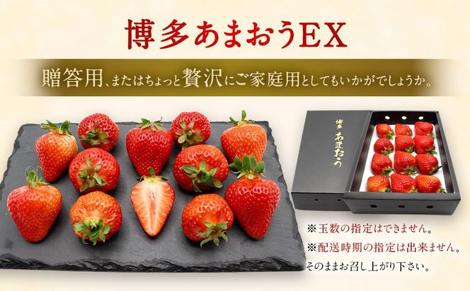 1月より順次発送!「博多あまおう」EX　贈答用化粧箱　約450g 1箱【ほたるの里】_HA0752