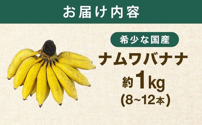 ≪2026年4～10月順次発送≫ 石垣島産 希少な国産『ナムワバナナ』を贅沢に1房丸ごと約1kg（8-12本） | 沖縄 石垣 バナナ フルーツ 果物 南国フルーツ 国産 TF-101_R8