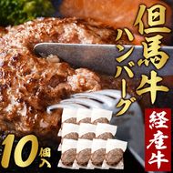 【累計5,000個突破！】但馬牛経産牛ハンバーグ（150g×10個）020AA09N.／個包装 牛肉 黒毛和牛 100% 国産 経産牛 和牛 赤身 味付け ほくぶ バーベキュー bbq キャンプ アウトドア 焼肉 小分け 簡単調理 セット 詰め合わせ 詰合せ 冷凍 お弁当 おかず