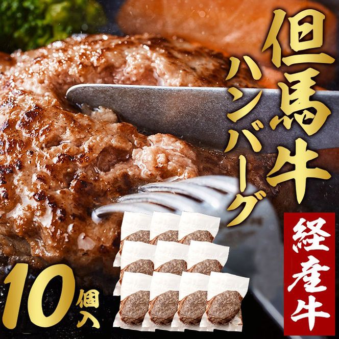 【累計5,000個突破！】但馬牛経産牛ハンバーグ（150g×10個）020AA09N.／個包装 牛肉 黒毛和牛 100% 国産 経産牛 和牛 赤身 味付け ほくぶ バーベキュー bbq キャンプ アウトドア 焼肉 小分け 簡単調理 セット 詰め合わせ 詰合せ 冷凍 お弁当 おかず