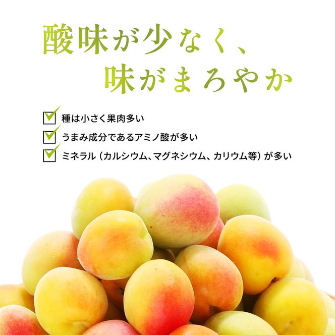 無糖の梅酒BENICHU38°（750ml×6本） お酒 洋酒 リキュール 