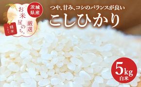お米屋が厳選した 茨城県産 こしひかり 5kg ※離島への配送不可 ※2026年1月下旬～8月下旬頃に順次発送予定