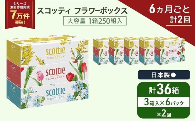 定期便 ティッシュ スコッティ フラワーボックス 3箱 × 6 パック《 6ヶ月ごと計 2回 》ティッシュセット