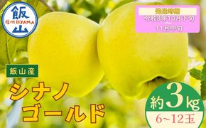 【先行予約丨2026年10月下旬より順次発送】シナノゴールド【約3kg (6〜12玉)】(At-014)丨長野県 飯山市 おすすめ ランキング おいしい 高評価 大人気 先取り 産地直送 りんご