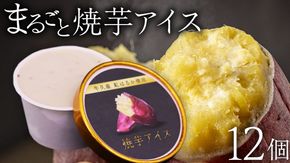 牛久市産 紅はるか 使用 焼き芋アイス 12個 入り アイスクリーム さつまいもスイーツ 焼き芋味 べにはるか 夏 アイス ギフト さつま芋 味 焼き芋 味 サツマイモ 冷凍 贈り物 [EJ009us]