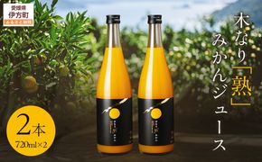 木なり「熟」みかんジュース（720ml×2本） IKTE010