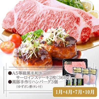 定期便(3回配送)鹿児島産A5等級黒毛和牛&黒豚 EE-6014 【1471286】