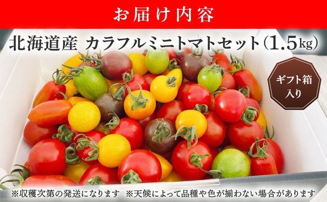 ＜先行予約＞カラフルミニトマトセット1.5kg【ffk-002】北海道 伊達市 野菜 新鮮 ふるさと納税 送料無料