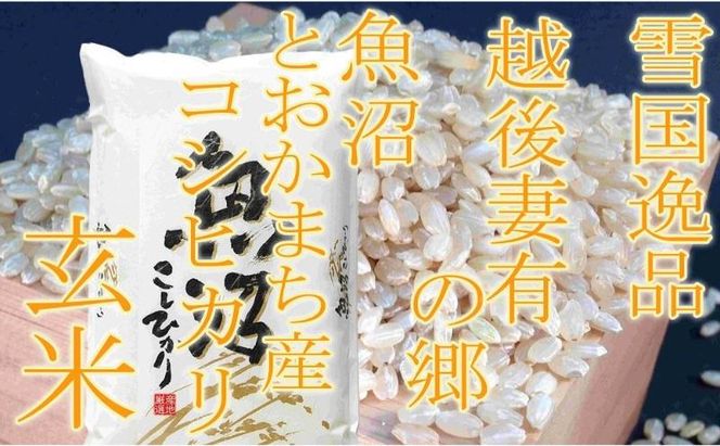 【令和8年産 先行予約】●定期便・玄米●【雪国逸品5kg×3ヶ月】 越後妻有の郷 魚沼十日町産コシヒカリ お米 ご飯 良質 ミネラル 極上 新鮮 香り つや 粘り