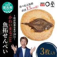 宮古で獲れた かれいまるごと 魚拓せんべい 直径15cm超 3枚 セット 詰め合わせ かれい専門店 煎餅 せんべい 魚煎餅 魚せんべい お菓子 菓子 おやつ おつまみ 岩手 岩手県 宮古市