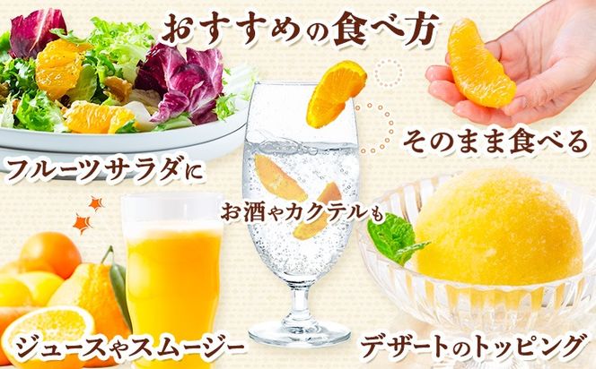 市原さんちの不知火(しらぬい)　1箱(15玉～24玉入り)　市原農園《3月中旬頃出荷予定》【配送不可地域あり】※離島 徳島県 佐那河内村 みかん 柑橘 フルーツ 果物 お取り寄せ プレゼント 送料無料---sanagouchi_ine_1_1hk---