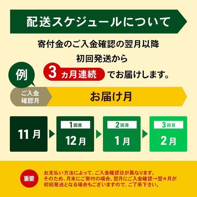 定期便 3ヵ月連続 全3回 よつ葉 「北海道 十勝シュレッドチーズ[要加熱]」3kg【 よつ葉 美味しい チーズ グラタン ピザ 大容量 業務用 北海道 十勝 幕別 】