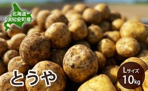 【 2026年 出荷 先行予約 】 北海道 倶知安 産 じゃがいも とうや L サイズ 10kg 馬鈴薯 いも 芋 グリーンアースファーム 農家 直送 野菜 産地直送