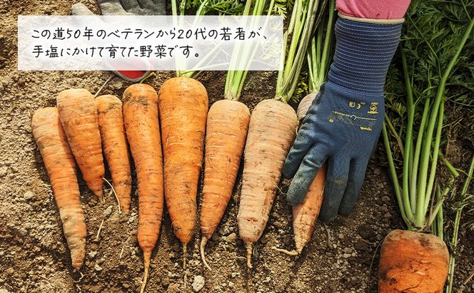【 訳アリ 】 人参 約 10kg 9月 収穫 予定 リストファーム サイズ 混合 天翔五寸 にんじん 産地直送 野菜