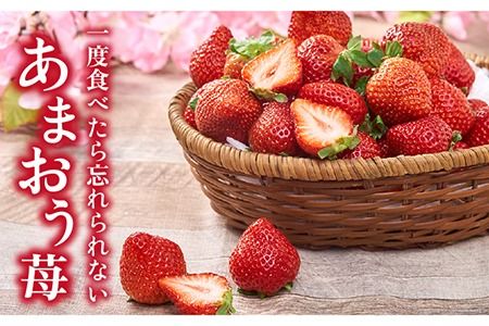 【先行予約】糸島産【春】 あまおう 6パック 【2025年2月上旬以降順次発送】 《糸島》【南国フルーツ株式会社】 [AIK009]  いちご ギフト イチゴ 食べ比べ 苗 タルト