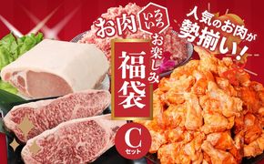 福袋 木城町 お肉いろいろお楽しみセットC K16_0071_2
