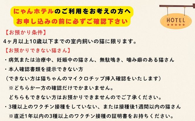 【長野県飯山市】 リバティベル（にゃんほてる＆猫カフェ） 利用券 3,000円分（T-17）