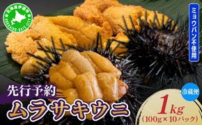 ＜先行予約＞ 北海道産 ムラサキウニ（正規品）1kg【ogm-039】生うに 塩水うに ミョウバン不使用 海鮮 国産 北海道 伊達 ふるさと納税