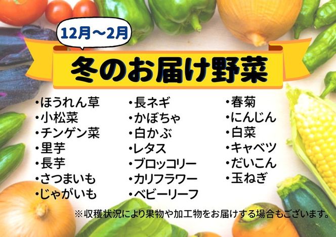 七宗町から発送　新鮮野菜詰めあわせセット(季節の野菜7～8種類) ※北海道・沖縄・離島への配送不可