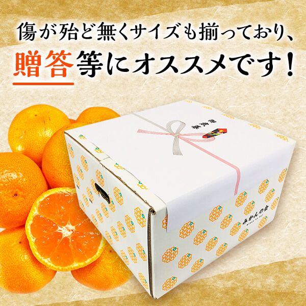 MK1002_2月28日終了！ 最短出荷すぐ届く！みかん Ｍサイズ 秀品 箱込 2.5kg ( 内容量 2.3kg ) 有田みかん 濃厚 甘み 濃縮 温暖 好条件 和歌山県産 産地直送 贈答用 贈り物 ギフト のし対応 フルーツ デザート 和歌山県 湯浅 お取り寄せ お取り寄せフルーツ 送料無料 みかんの会