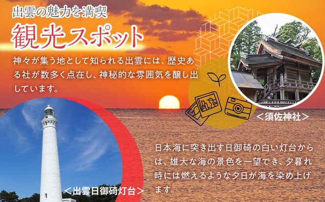 【2026年8月中旬以降発送】いずもぶどう　シャインマスカット(500ｇ見当) 先行 美味しい フルーツ 果物 出雲市産 322032_CG009