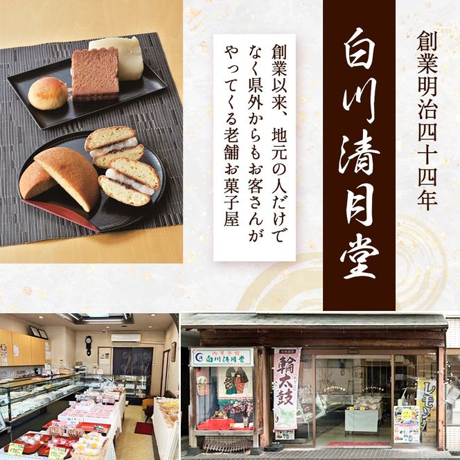 【地元銘菓】輪太鼓（わでこ）10個入（菓子 スイーツ 和菓子 ブッセ 餅 あんこ 銘菓 宮崎県）