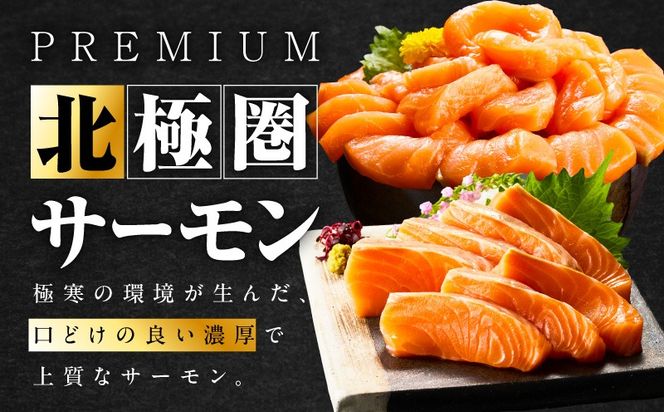 010B1329 北極圏サーモン ポーション 700g【小分け 350g×2P 海鮮丼 人気 オススメ 小分け 冷凍 簡単調理 一人暮らし 東洋冷蔵】